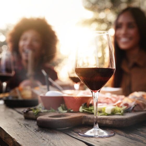 Group of friends having fun at a private maui chef experience - Multiracial people cheering red wine sitting outside at table