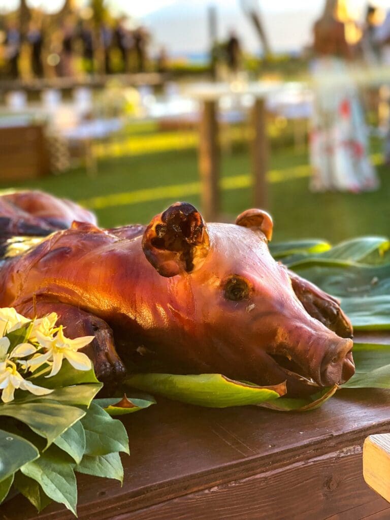 Whole roasted box pigs